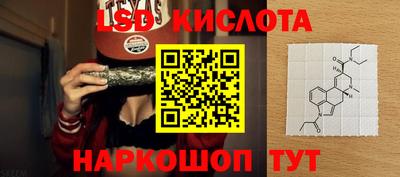 крисы Лесосибирск