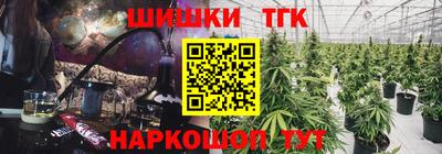 крисы Лесосибирск