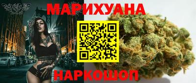 крисы Лесосибирск