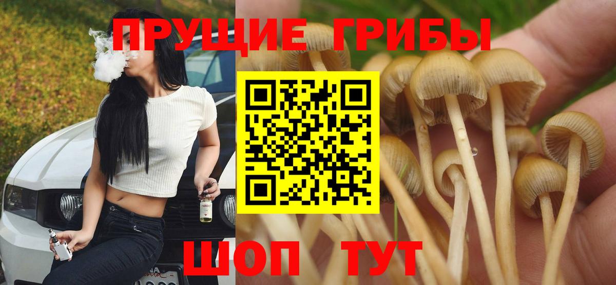 Псилоцибиновые грибы прущие грибы  Вход с VPN  Северобайкальск 