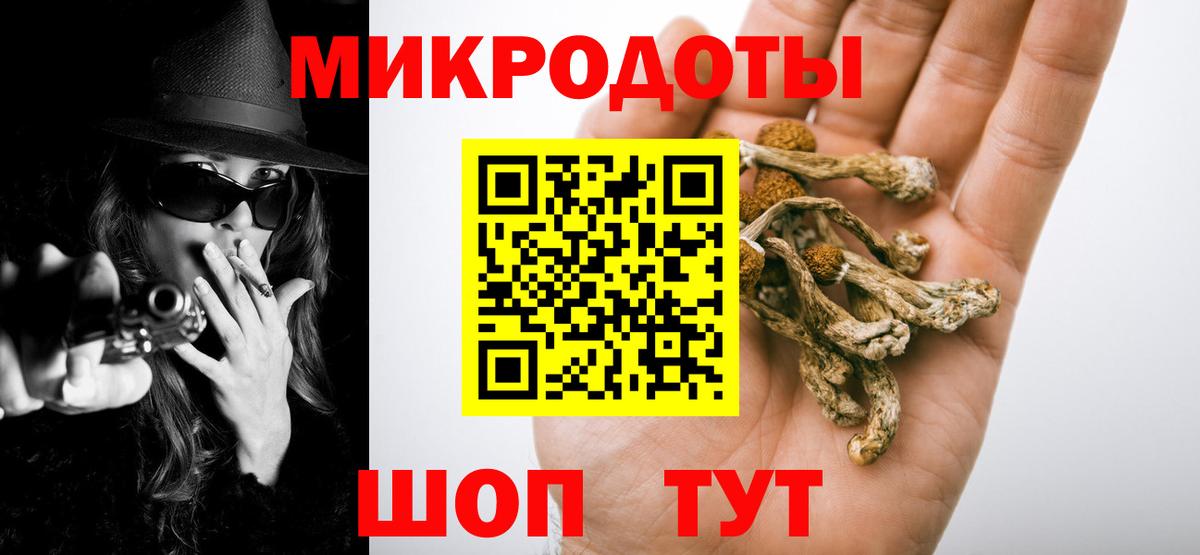 Галлюциногенные грибы Psilocybe Северобайкальск